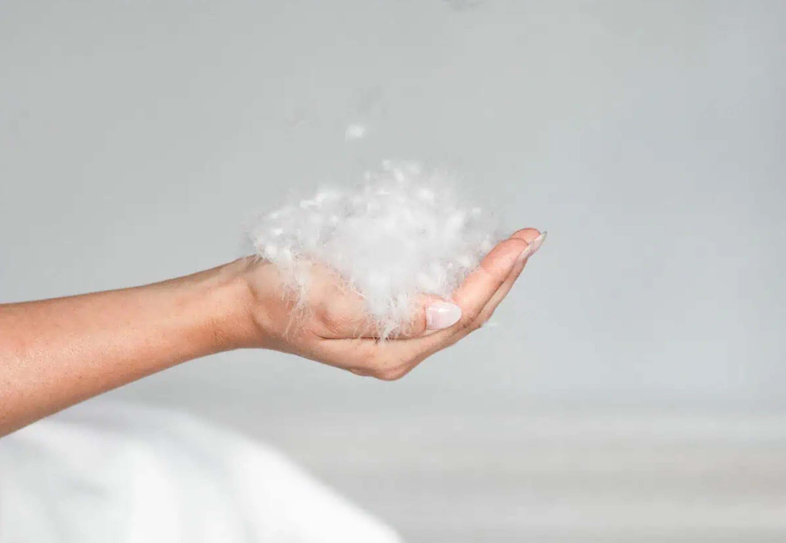 BICO Selection ClimaLuxe Kissen Vario Nature - moebelverkauf.ch