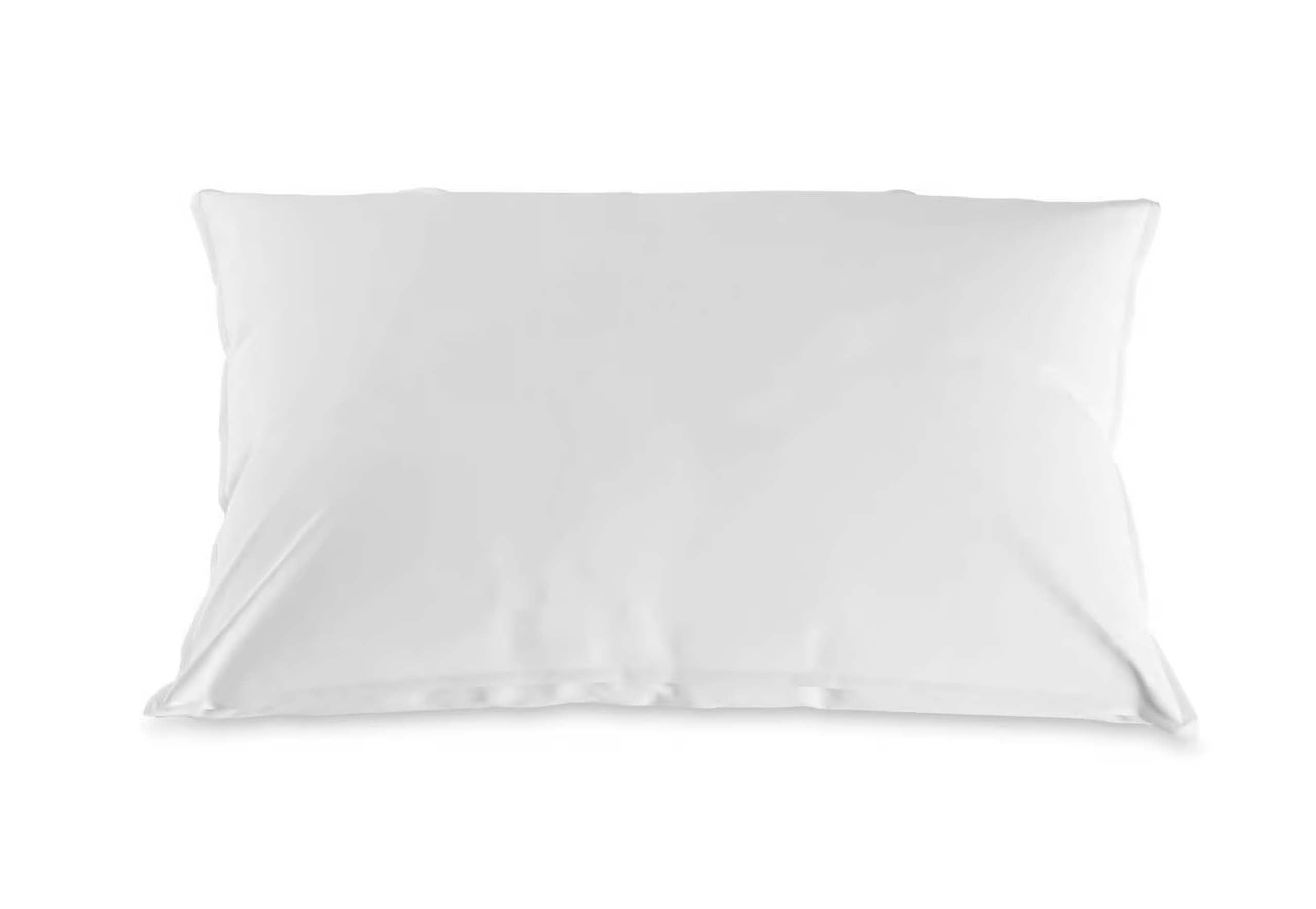 BICO Selection Master Kissen Classic Arve - moebelverkauf.ch