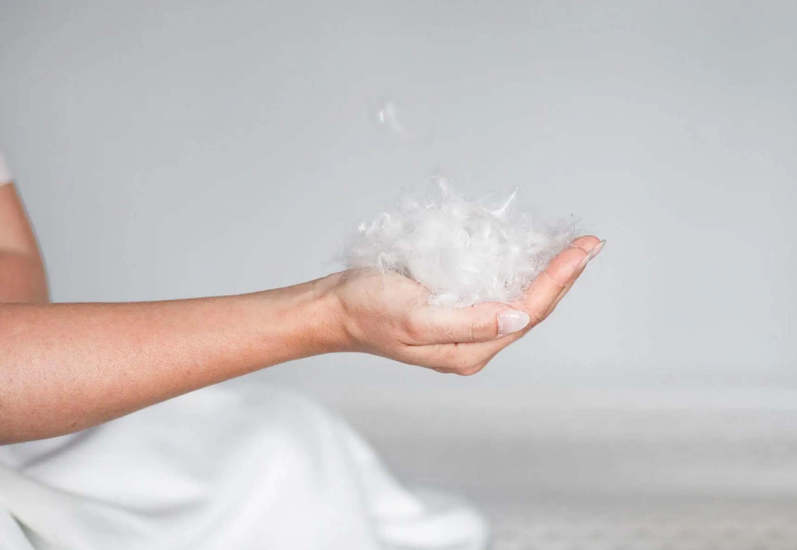 BICO Selection ClimaLuxe Duvet - moebelverkauf.ch