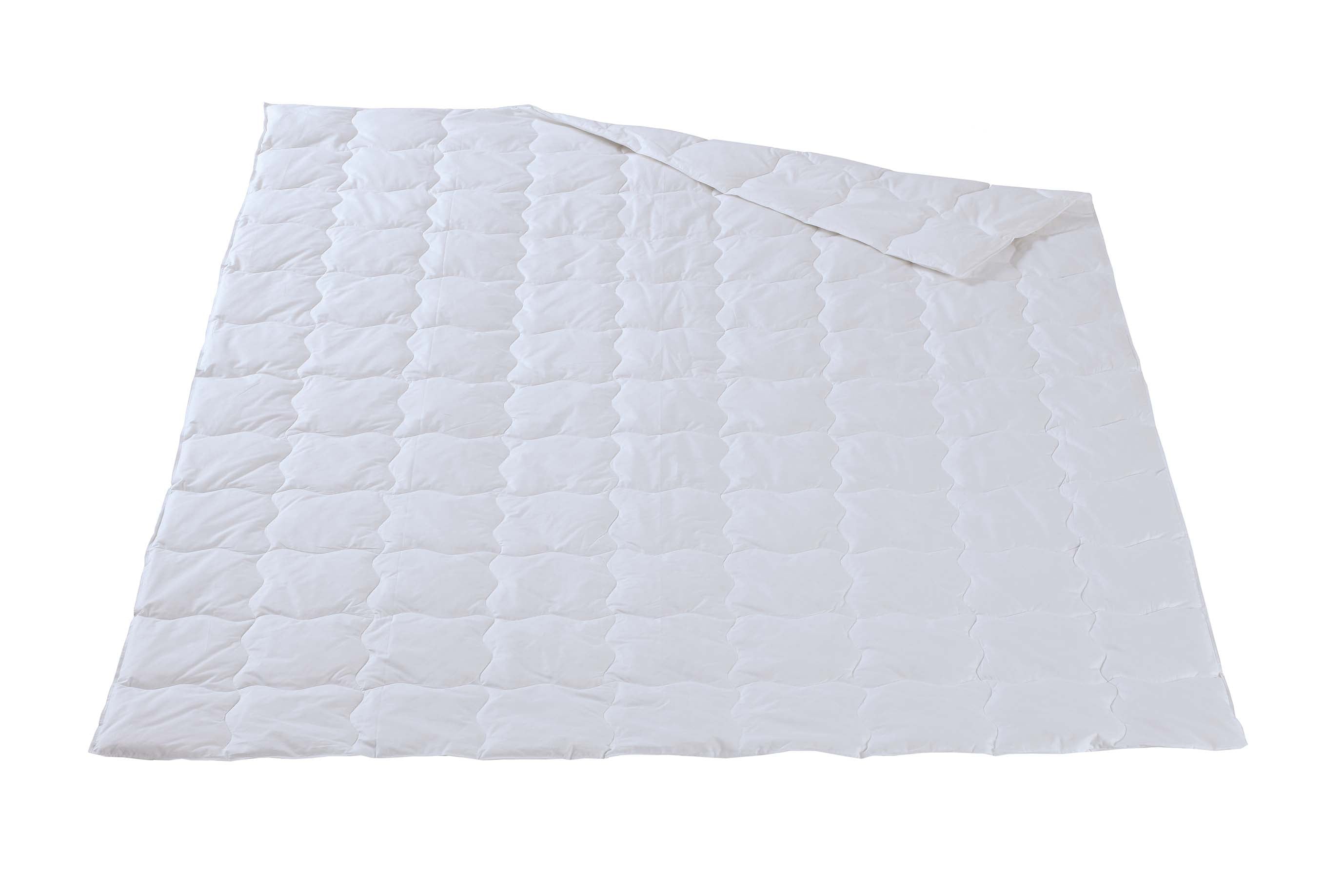 Dorbena KALMIA Leicht - Duvet - moebelverkauf.ch