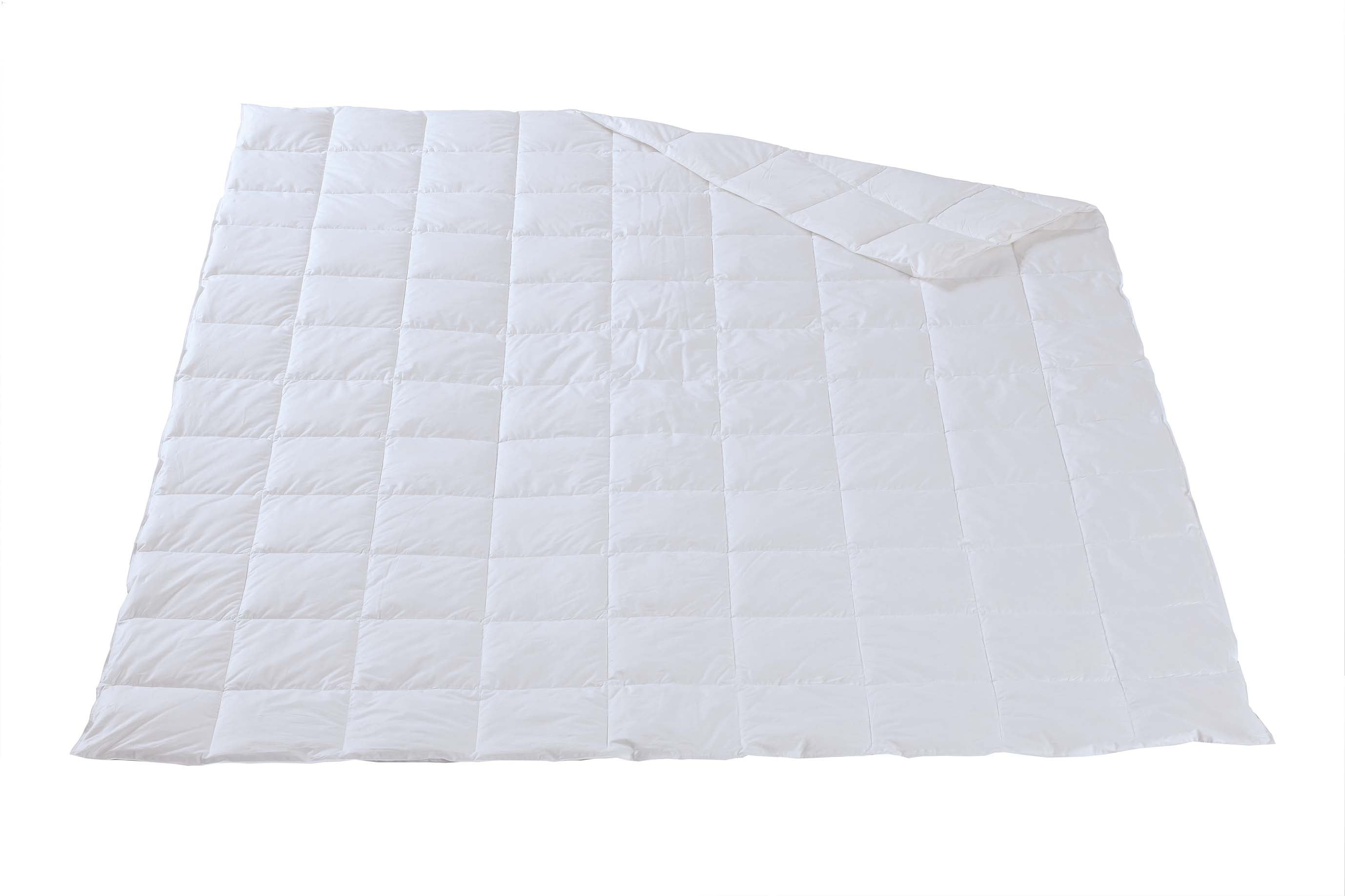 Dorbena KALMIA Leicht - Duvet - moebelverkauf.ch