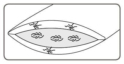 Dorbena CLIMACHANGE 3 - Kammer - Kissen adjustable - moebelverkauf.ch
