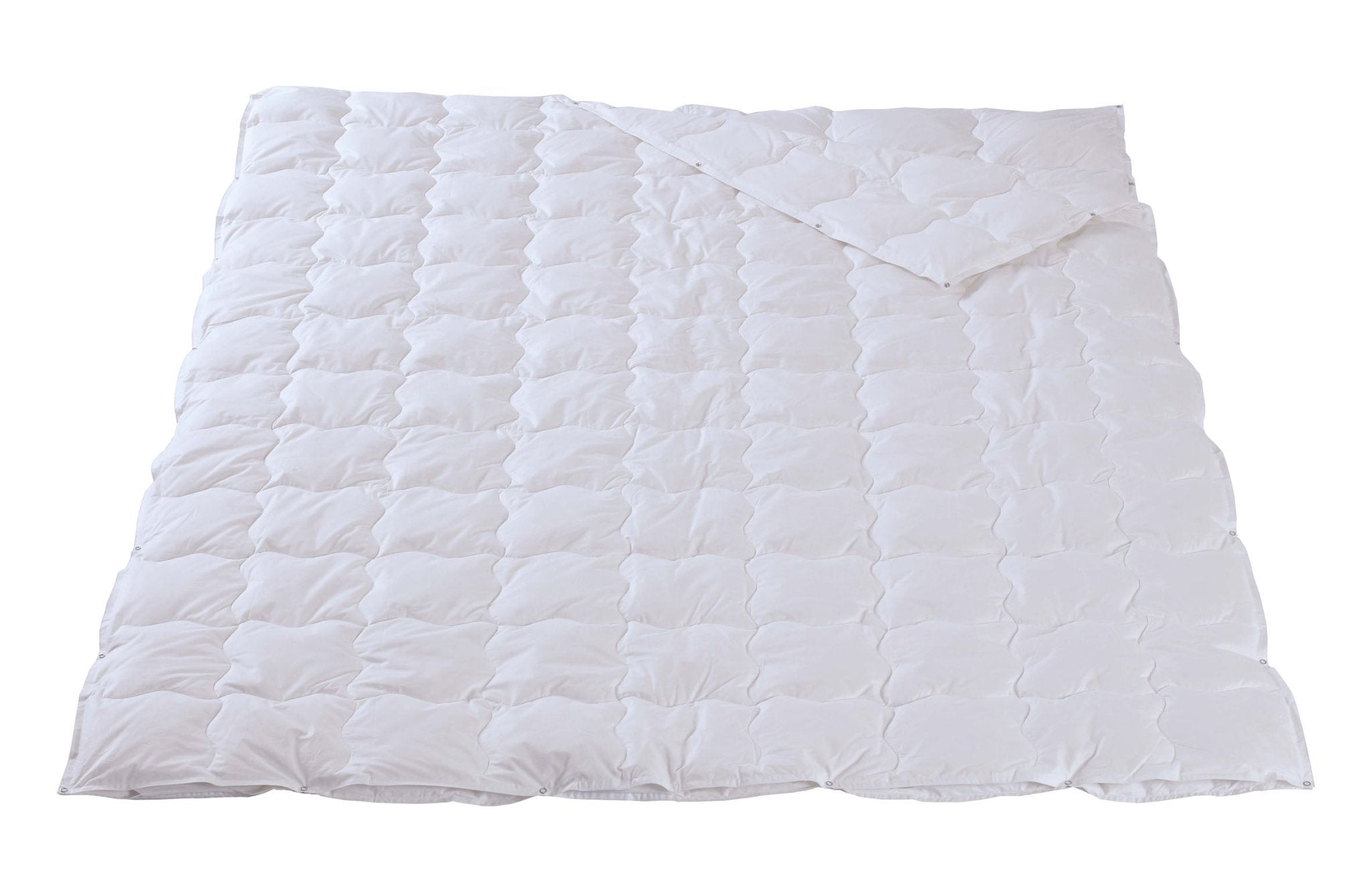 Dorbena FUCHSIA 4 - Saisons - Duvet - moebelverkauf.ch