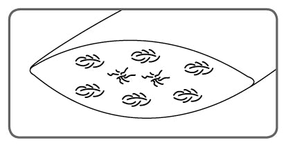 Dorbena SILVER PROTECTION Kissen high - moebelverkauf.ch
