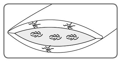 Dorbena SANITIZED Kissen high - moebelverkauf.ch